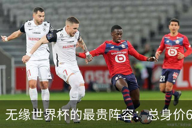 无缘世界杯的最贵阵容：总身价6.7亿 意大利5人